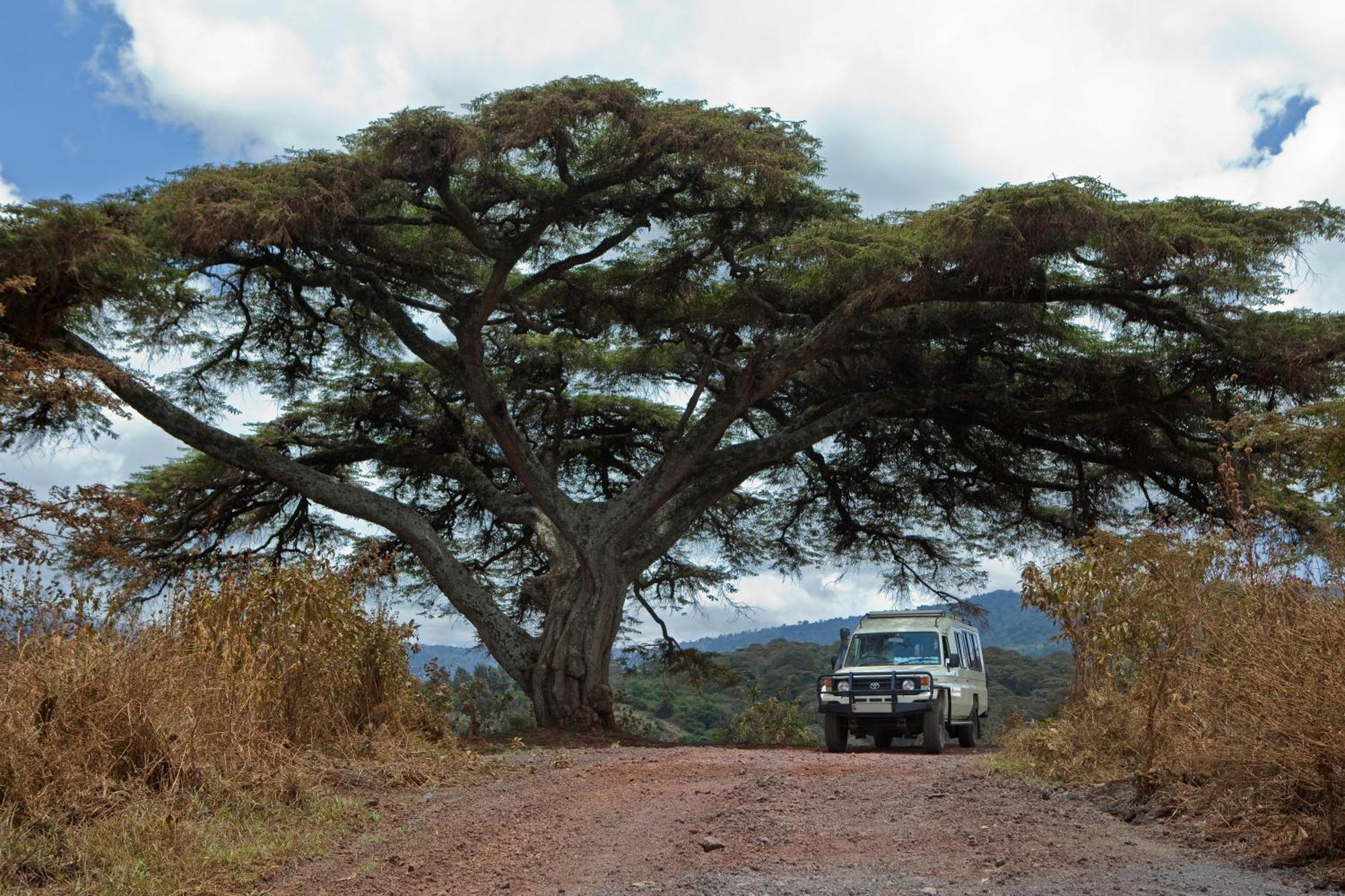 Neptune Ngorongoro Luxury Lodge Exterior foto