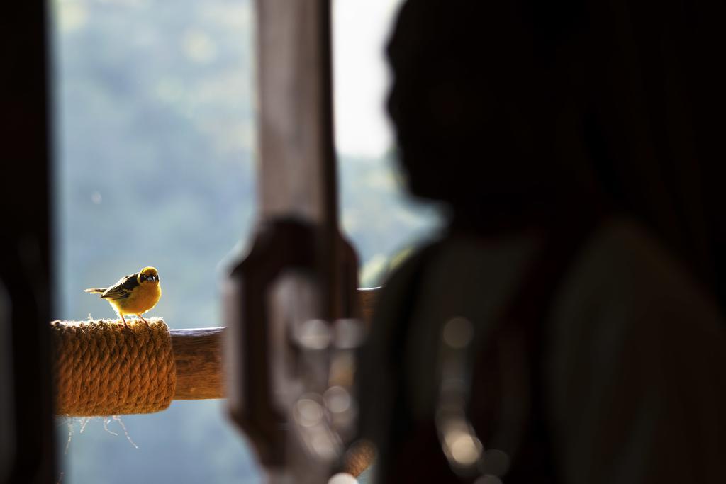Neptune Ngorongoro Luxury Lodge Exterior foto