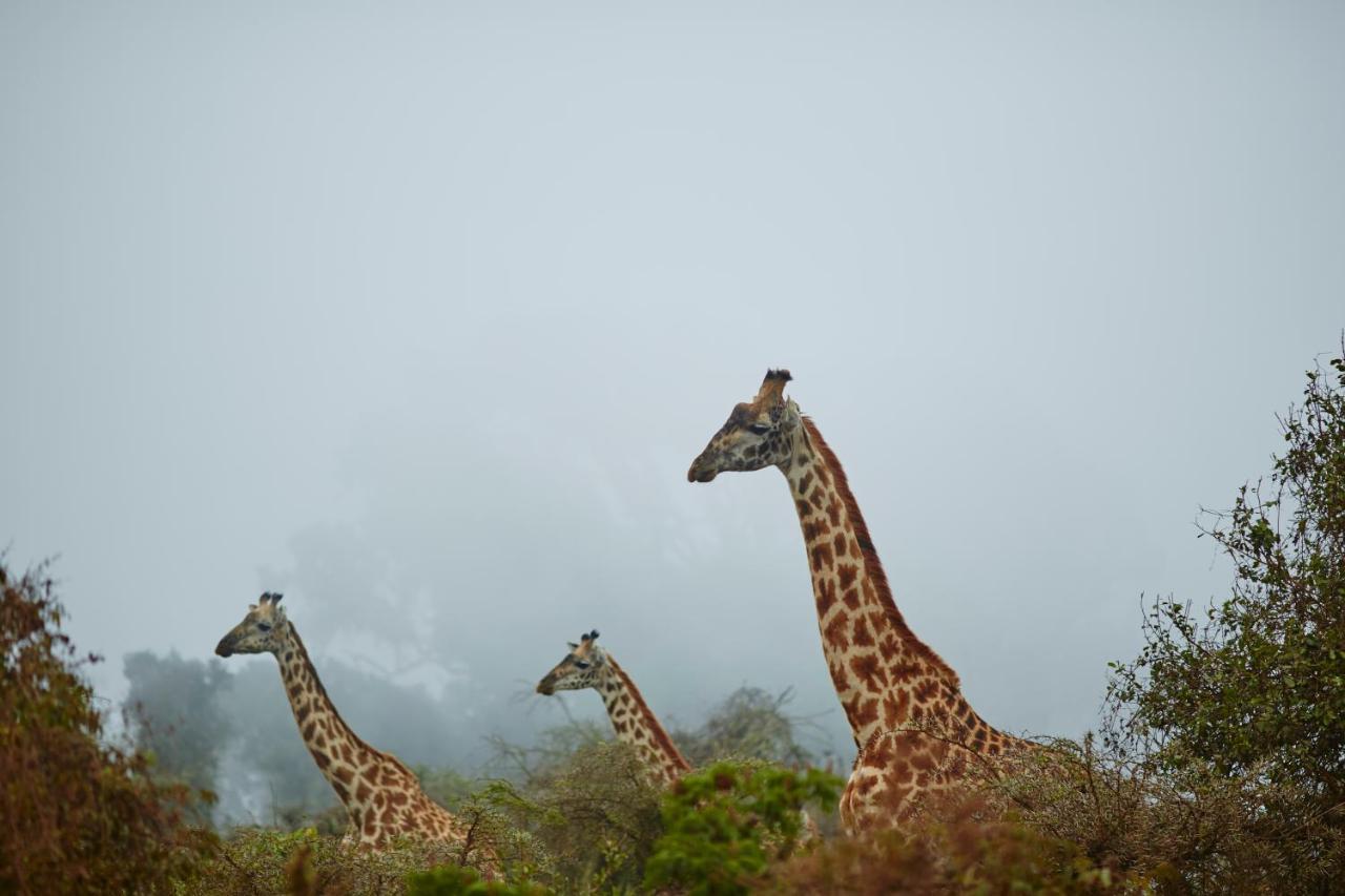 Neptune Ngorongoro Luxury Lodge Exterior foto